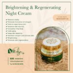 Brightening & Regenerating Night Cream